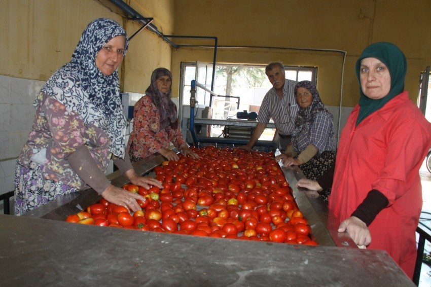 Kulaca’da 2016 sezonu başladı