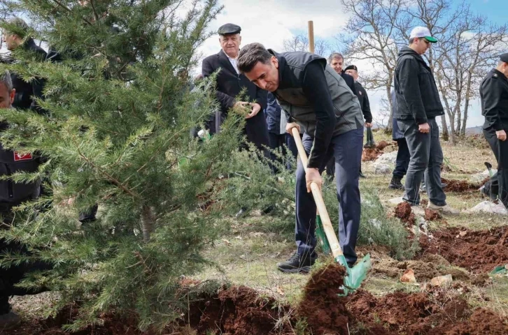 Doğanın akciğeri olan ağaç fidanları toprakla buluştu
