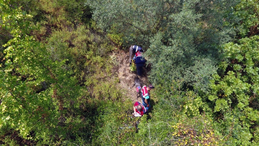 Bursa'da 'drone'lu ve köpekli operasyon