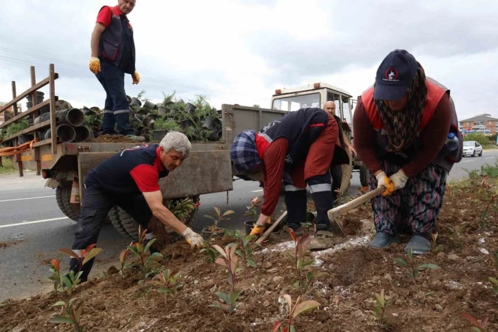 Düzce’nin dört bir yanı çiçeklendiriliyor
