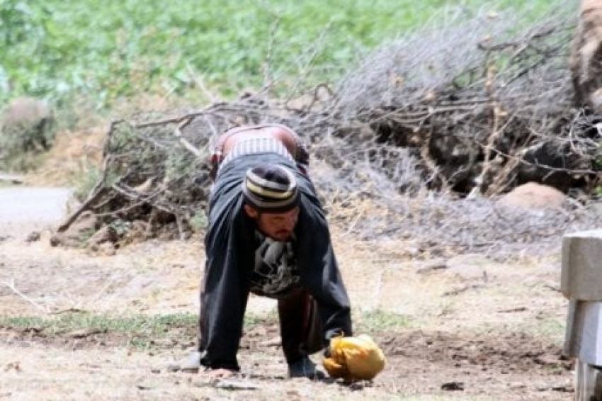 ’Dört ayaklı insan’ olarak bilinen kişi trafik kazasında öldü