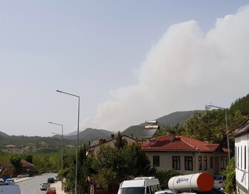 Sakarya’daki orman yangını büyüyor