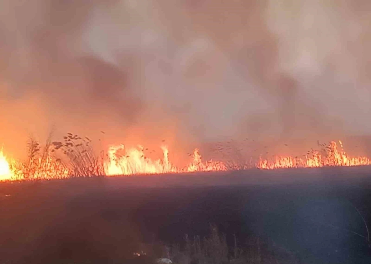 Eber Gölü’nde yangın
