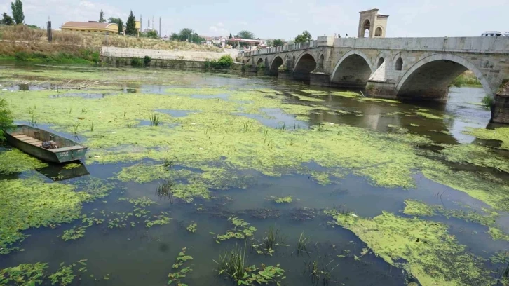 Edirne’de Tunca Nehri plastik atıklar ve çöplerle kaplandı
