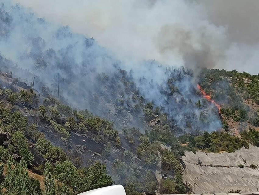 2 ayrı noktada örtü yangını çıktı