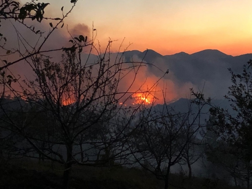 Kozan’daki orman yangını söndürme çalışmaları devam ediyor