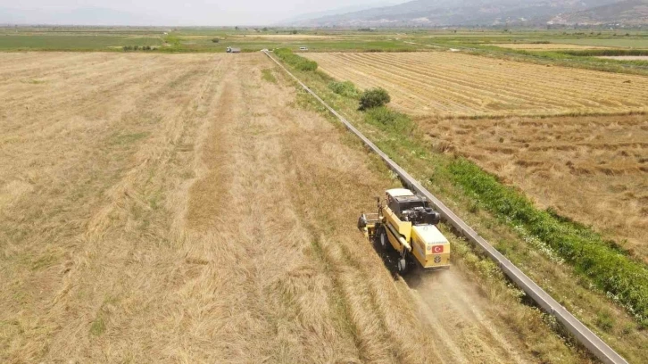 Efeler Belediyesi’nden buğday hasadı
