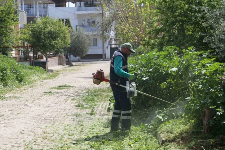 Efeler’in ekiplerinden bahar temizliği
