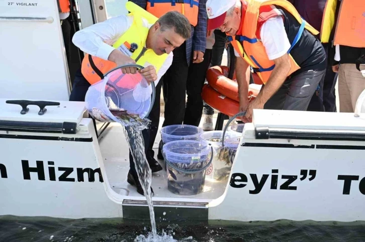 Eğirdir Gölü’ne 1 milyon 100 bin yavru sazan balığı bırakıldı
