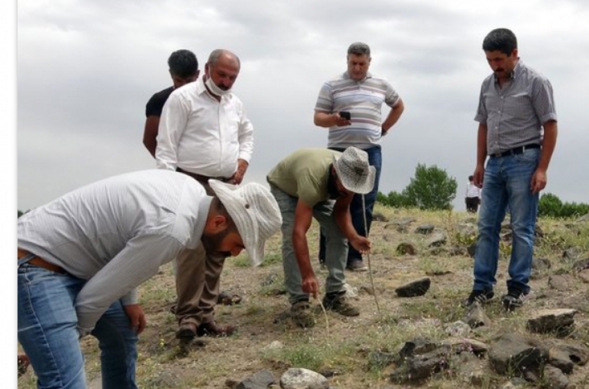  Her taşın altından çıkıyor, 1 metre sıçrayabiliyor…