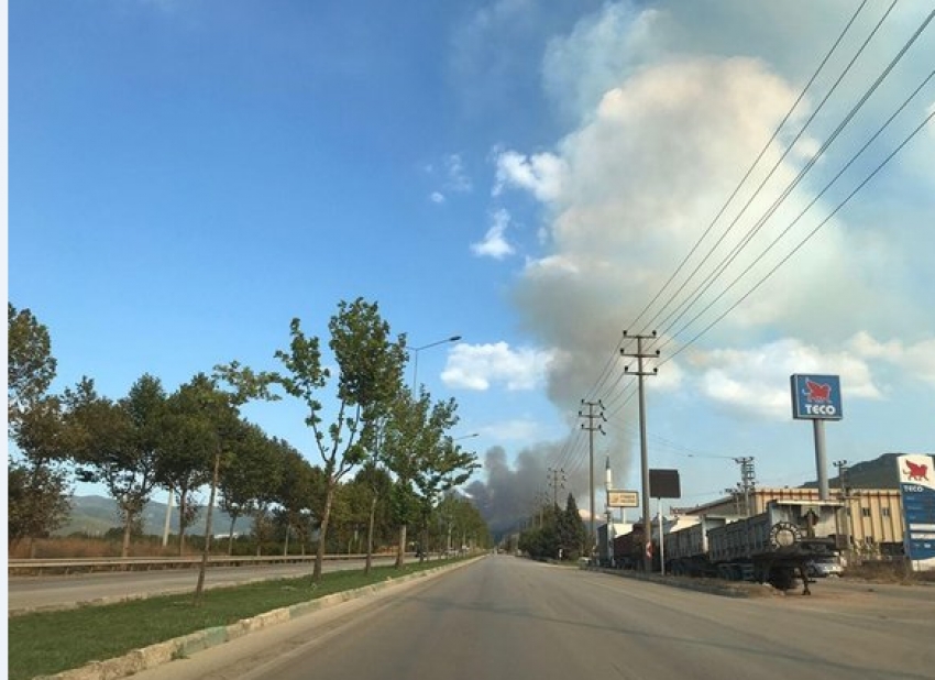 Bursa'da korkutan yangın