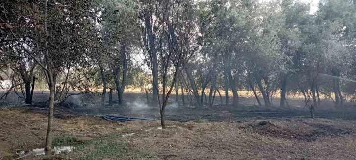 Elazığ’da bahçede korkutan yangın
