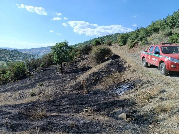 Korkutan yangın