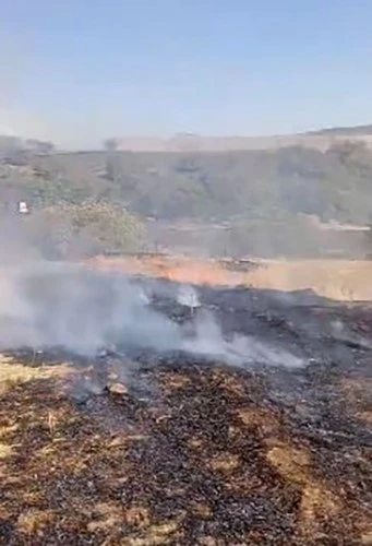 Elazığ’da otluk alanda yangın
