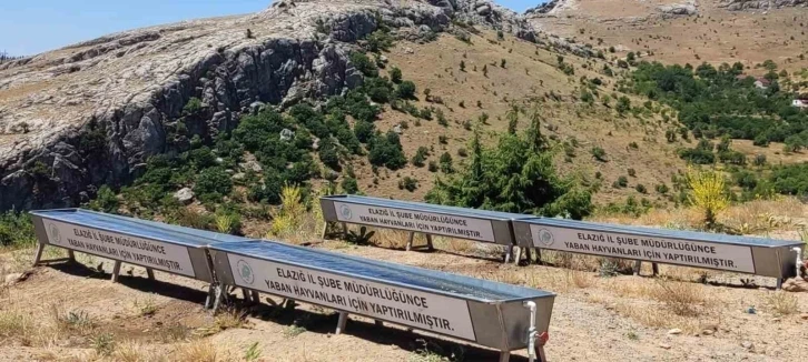 Elazığ’da yaban hayatı için su yalakları oluşturuldu
