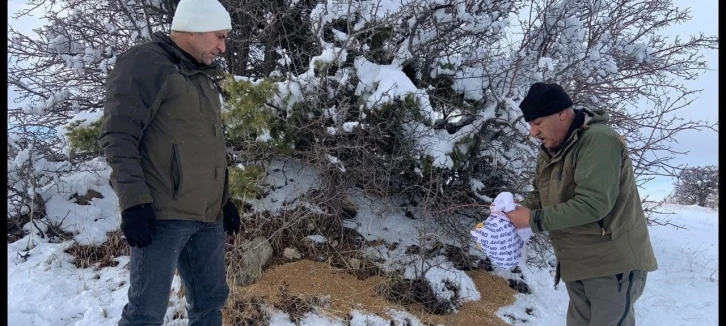 Elazığ’da yaban hayvanları unutulmadı: Doğaya 300 kilo yem bırakıldı
