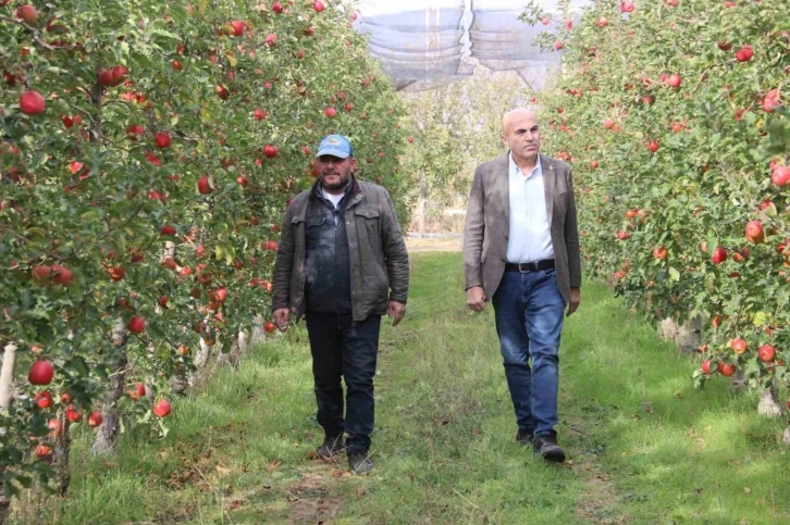 Elmanın büyükşehirlerde 4 katı fazla fiyata satılması üreticisini de rahatsız ediyor
