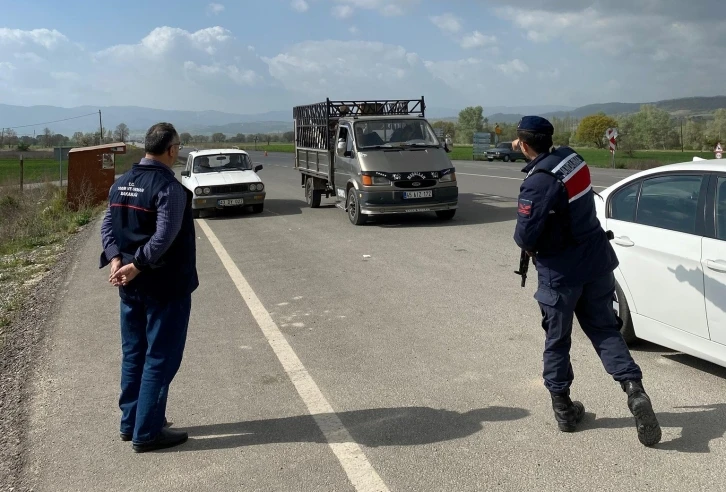 Emet’te hayvan hareketleri yol kontrolleri
