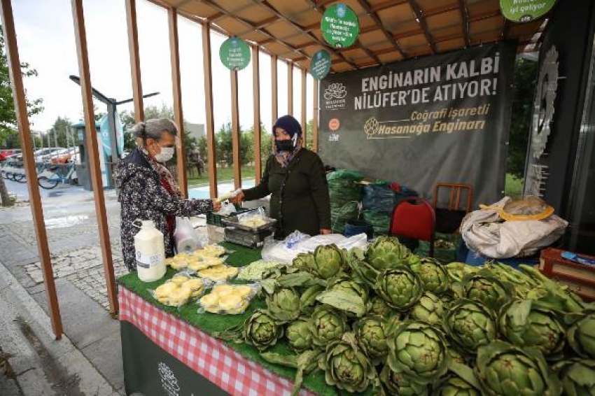 Bursa'da enginarı üreticisine ulaşmak kolaylaştı