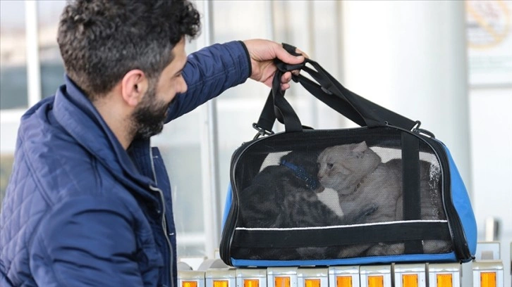 Enkazdan çıkarılan depremzede, 2 kedisini de kurtarmayı başardı