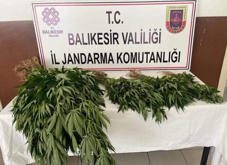 Erdek Kapıdağ’da yasadışı uyuşturucu operasyonu
