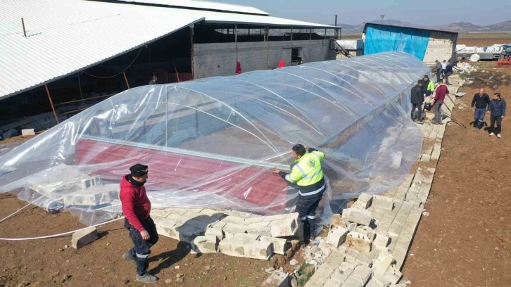 Erdemli Belediyesi ağıl yaptı, hayvanlar soğuktan ölmekten kurtarıldı
