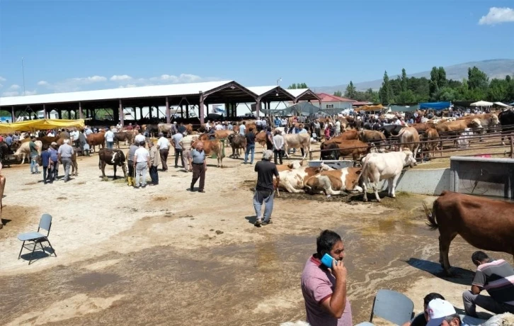 Erzincan canlı hayvan pazarı kapatıldı
