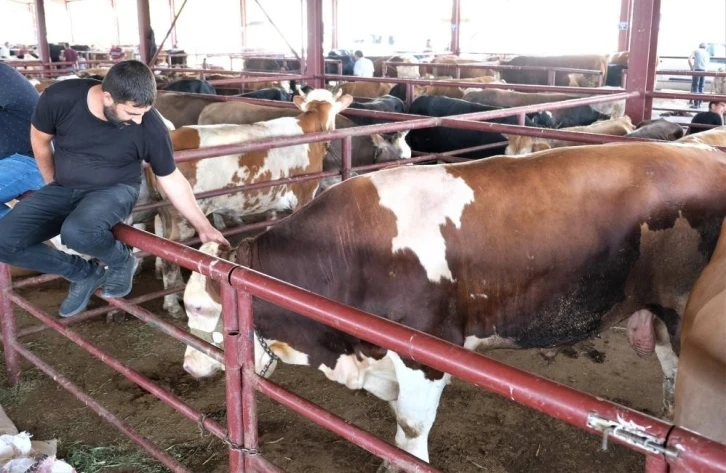 Erzincan’da et üreticilerine yem karma makinesi desteği
