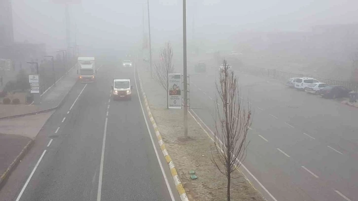 Erzincan’da sis ve soğuk hava etkili oldu
