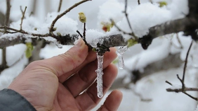 Erzincan için zirai don uyarısı
