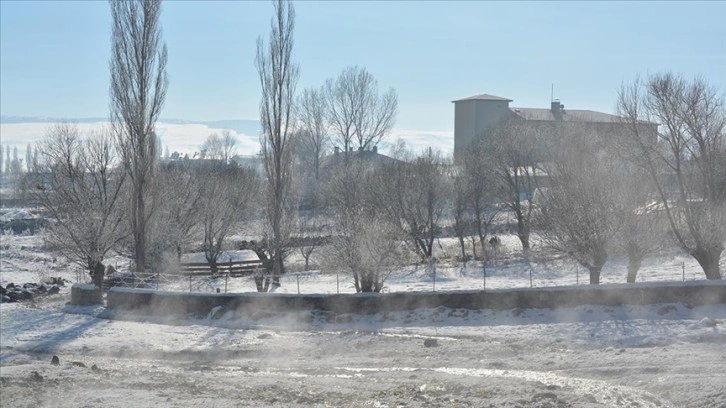 Erzurum, Ağrı, Ardahan ve Kars'ta soğuk hava etkili oluyor