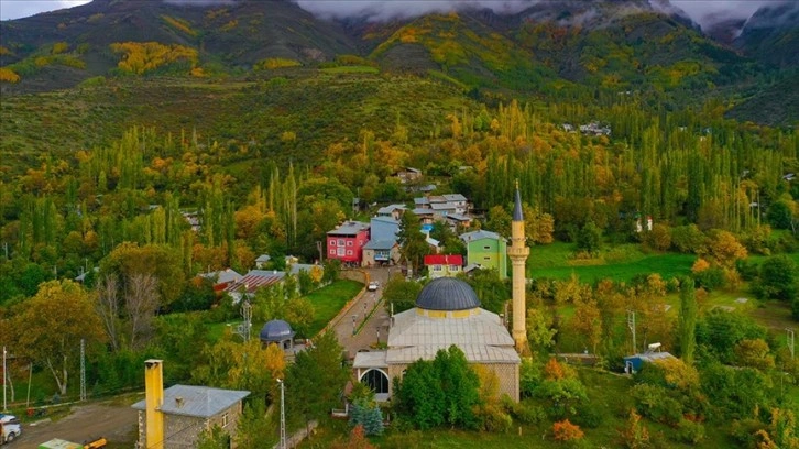 Erzurum'un Tortum ilçesinde sonbahar renkleri hakim oldu