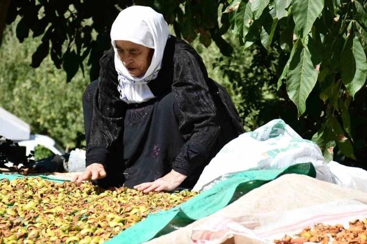 Evlerin damları kışlıklarla doldu
