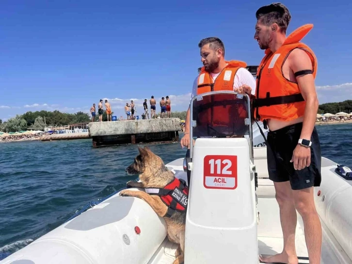 Ezine’de boğulma vakalarına karşı K9 köpeği Leydi ve dalgıçlar iş başında
