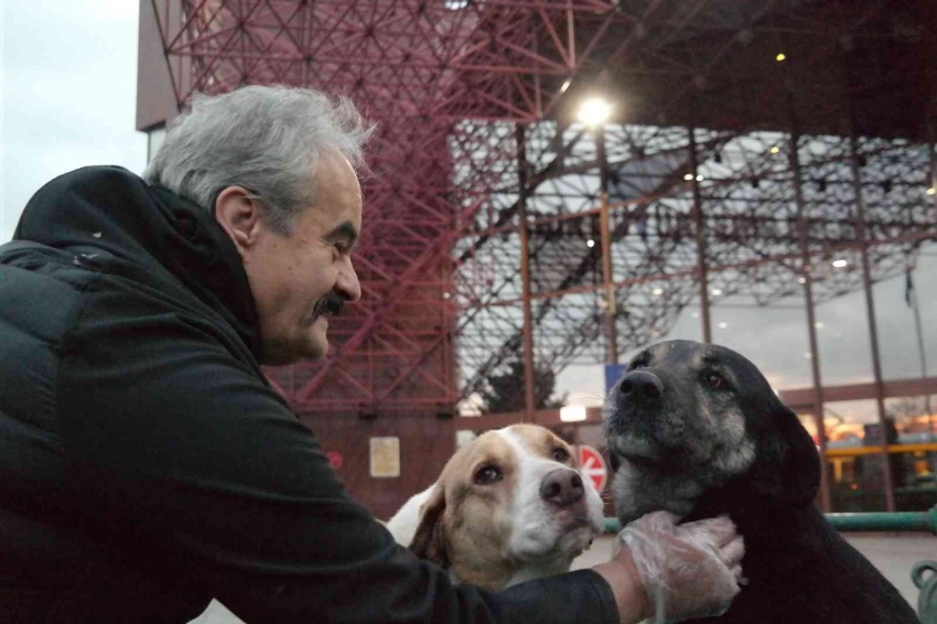 15 yıldır terminal etrafındaki köpekleri besliyor