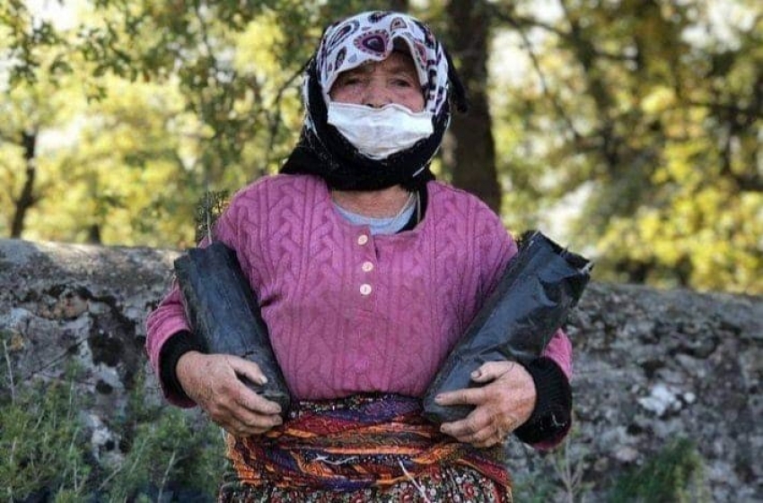 Yaşlı teyzeler fidan dikmek için yarıştı