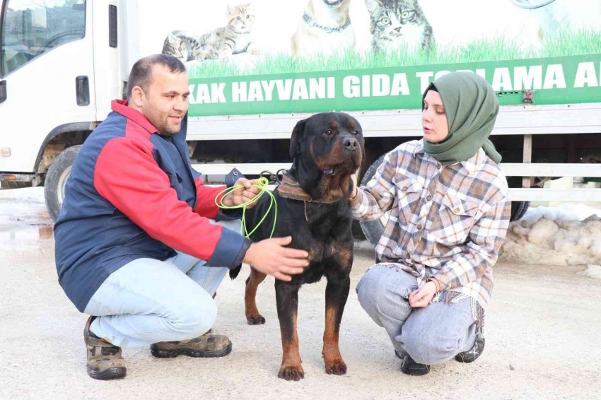 Sahibi tekmeleyip, şiddet uygulamıştı yeni yuvasında