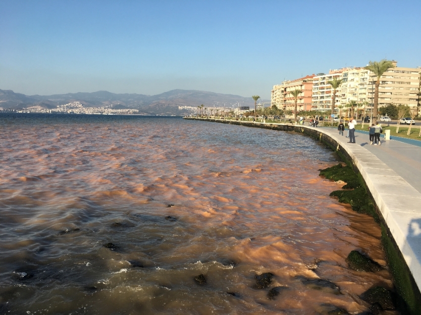 İzmir’de denizin rengi değişti