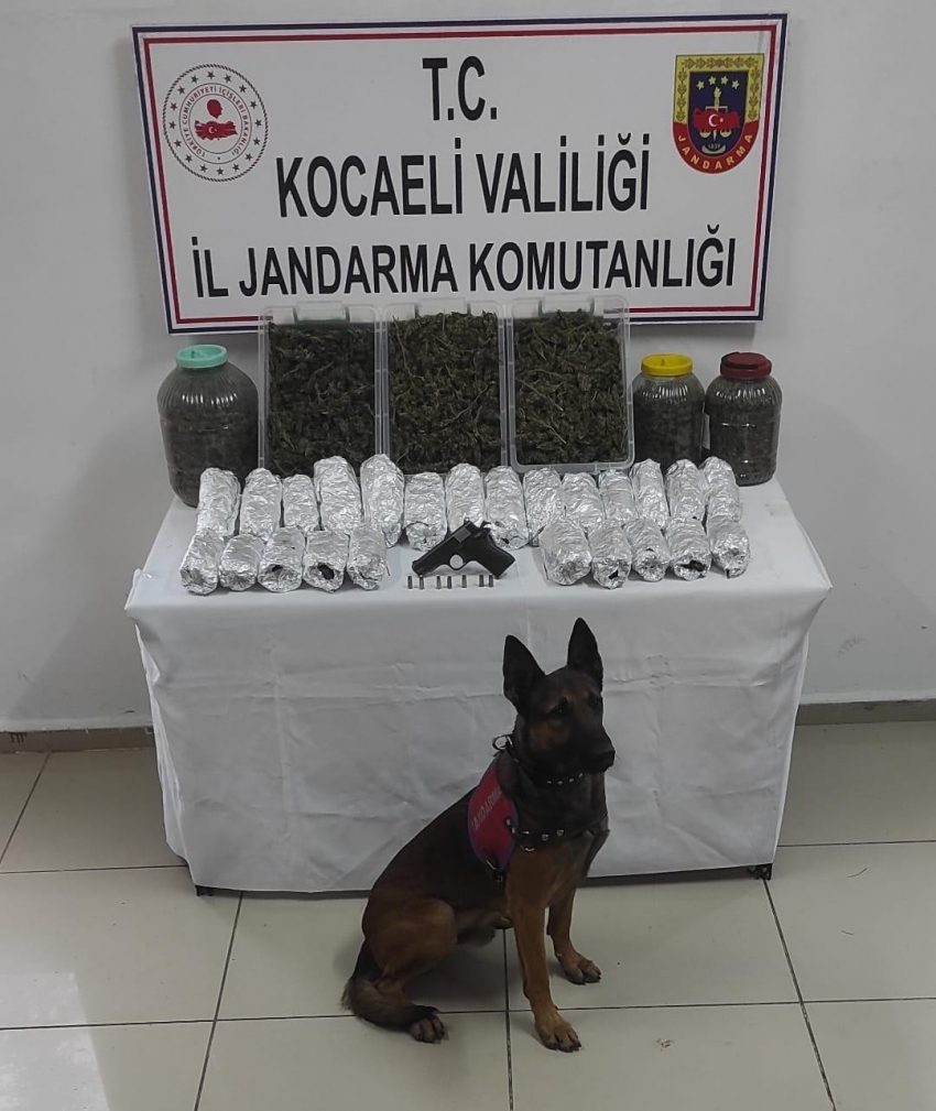 Evinde 4 kilo 380 gram esrar ile yakalanınca tutuklandı