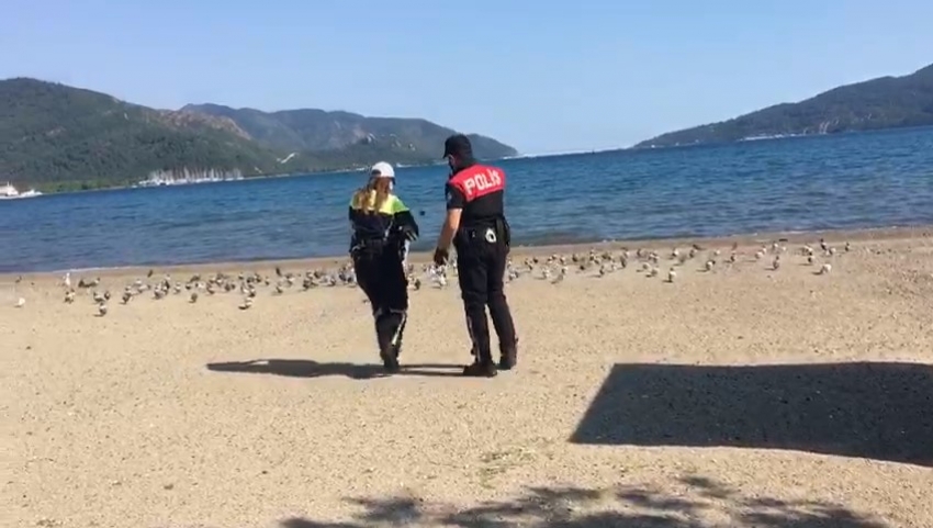 Marmaris polisi sokak hayvanlarını unutmadı