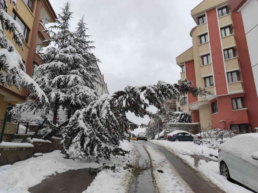 Başkent yağan karla beyaza büründü