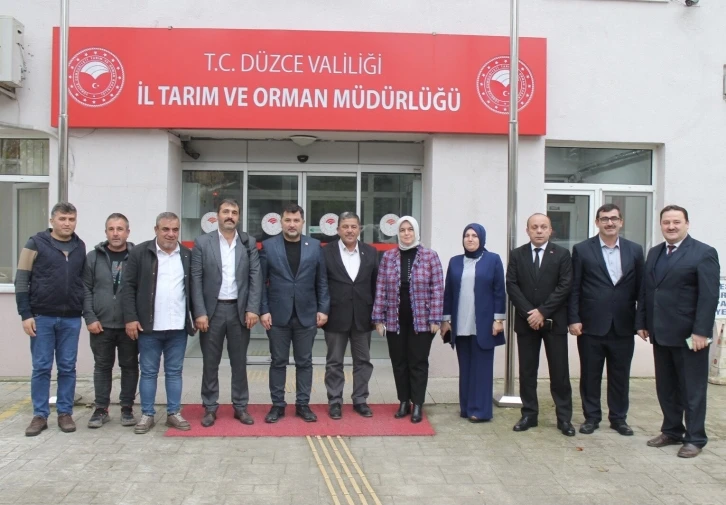 Fındık tarımında yeni uygulamalar değerlendirildi
