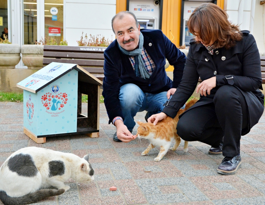 Can dostların sıcak yuvası Mudanya