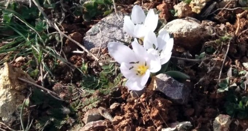 Türkiye için ürküten manzara