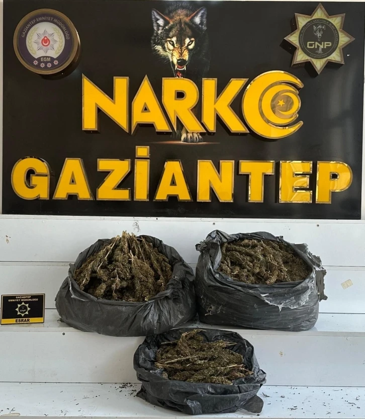 Gaziantep’te 15 kilogram esrar ele geçirildi
