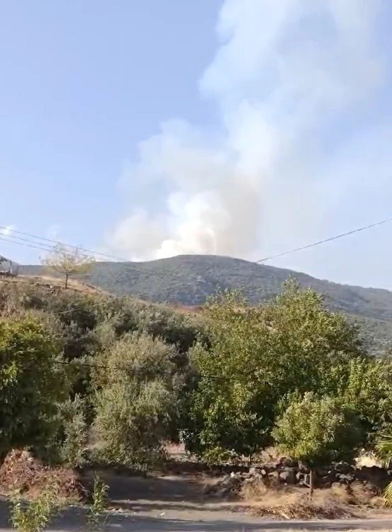 Gaziantep’te orman yangını
