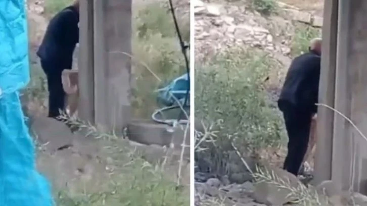 Geçtiğimiz gün tavuğa şimdi de köpeğe cinsel saldırı 