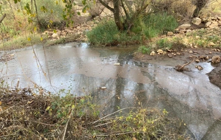 Gediz Nehri için tehlike çanları çalıyor
