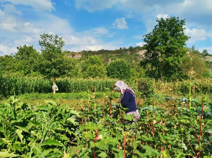 Gedizli köylüler ata tohumu özlemi çekiyor
