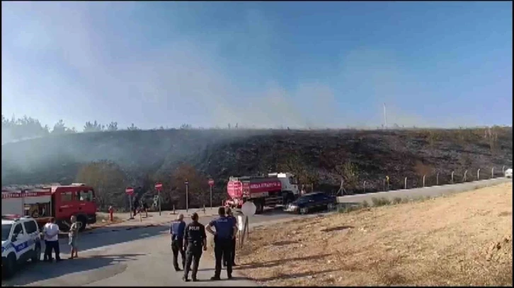 Bursa'da gençlerin tehlikeli oyunu ormanı yakacaktı